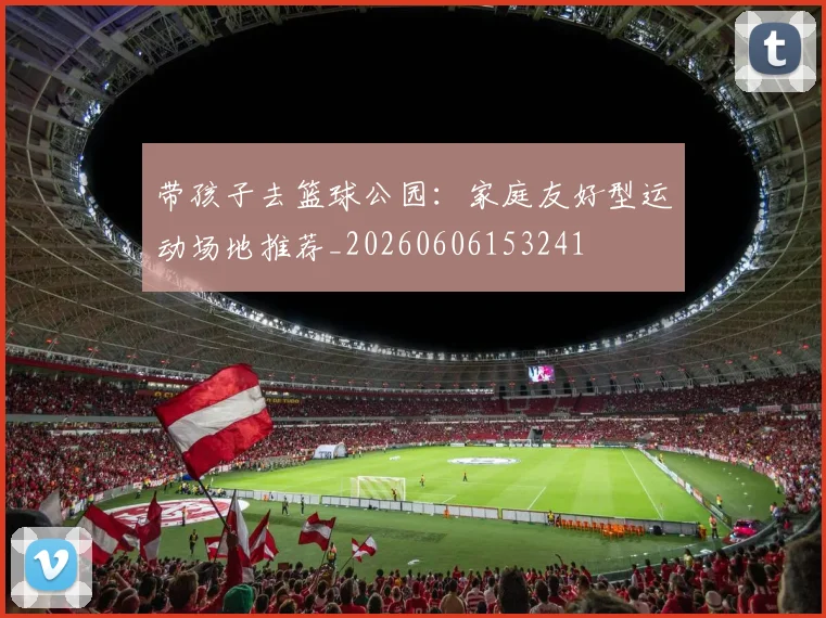 带孩子去篮球公园：家庭友好型运动场地推荐_20260606153241