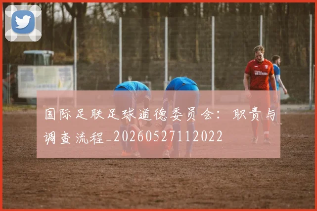 国际足联足球道德委员会:职责与调查流程_20260527112022