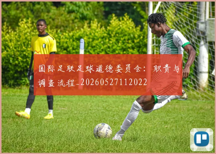 国际足联足球道德委员会：职责与调查流程_20260527112022
