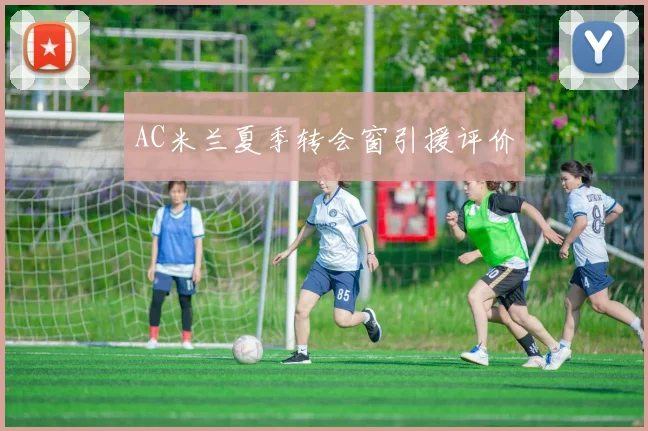 AC米兰夏季转会窗引援评价
